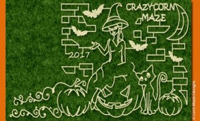 One Adult "Maze Only" Admission ($7.50 Value)