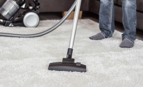 Organic Carpet Cleaning for 5 Rooms, 2 Hallways & 1 Set of Stairs ($290 Value)
